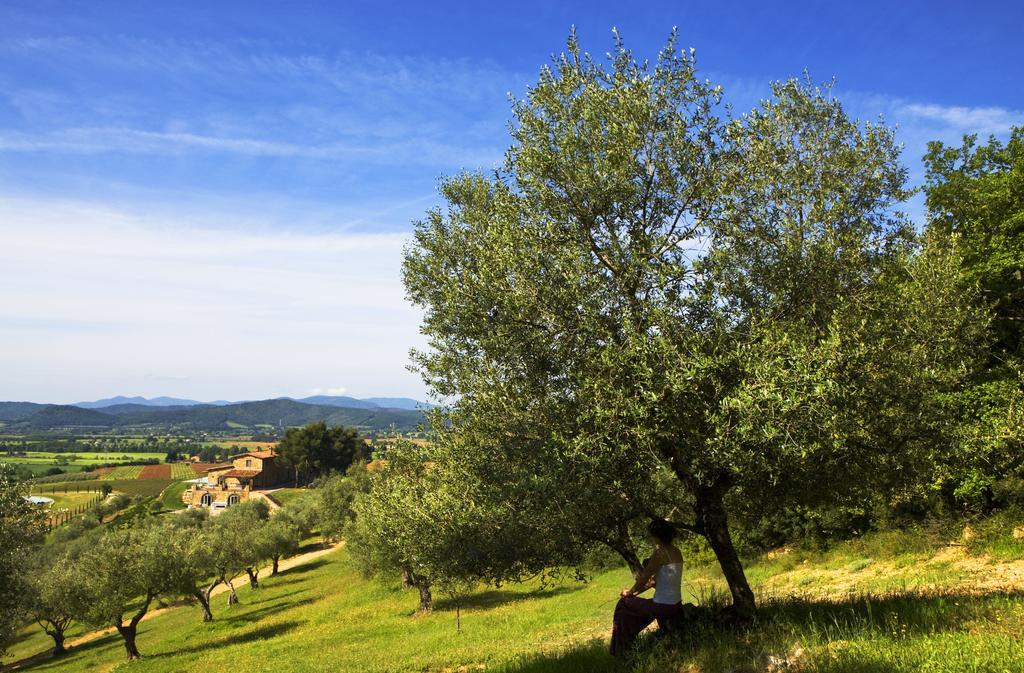 Ribolla Wine Resort Conti Di San Bonifacio מראה חיצוני תמונה