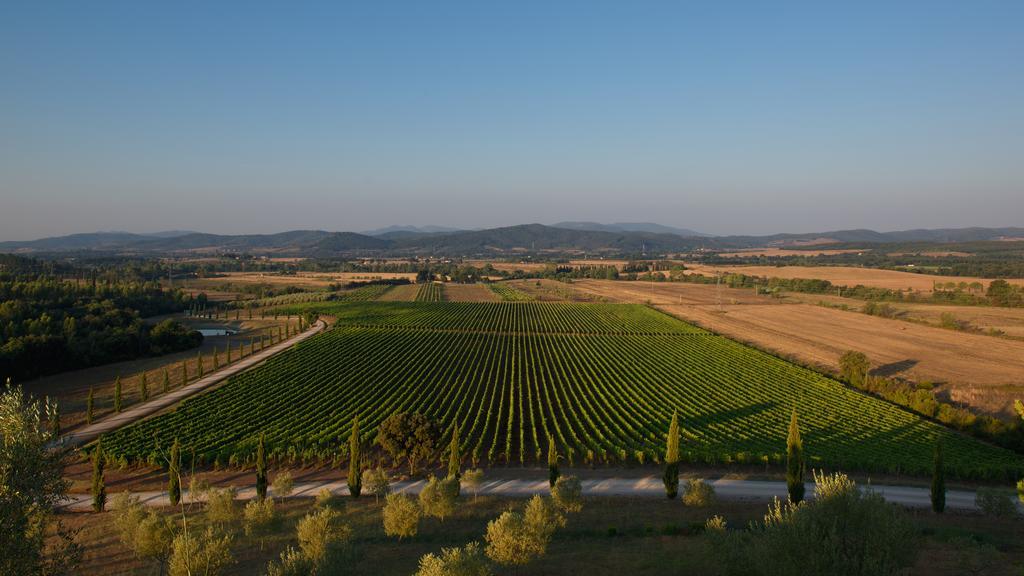 Ribolla Wine Resort Conti Di San Bonifacio מראה חיצוני תמונה